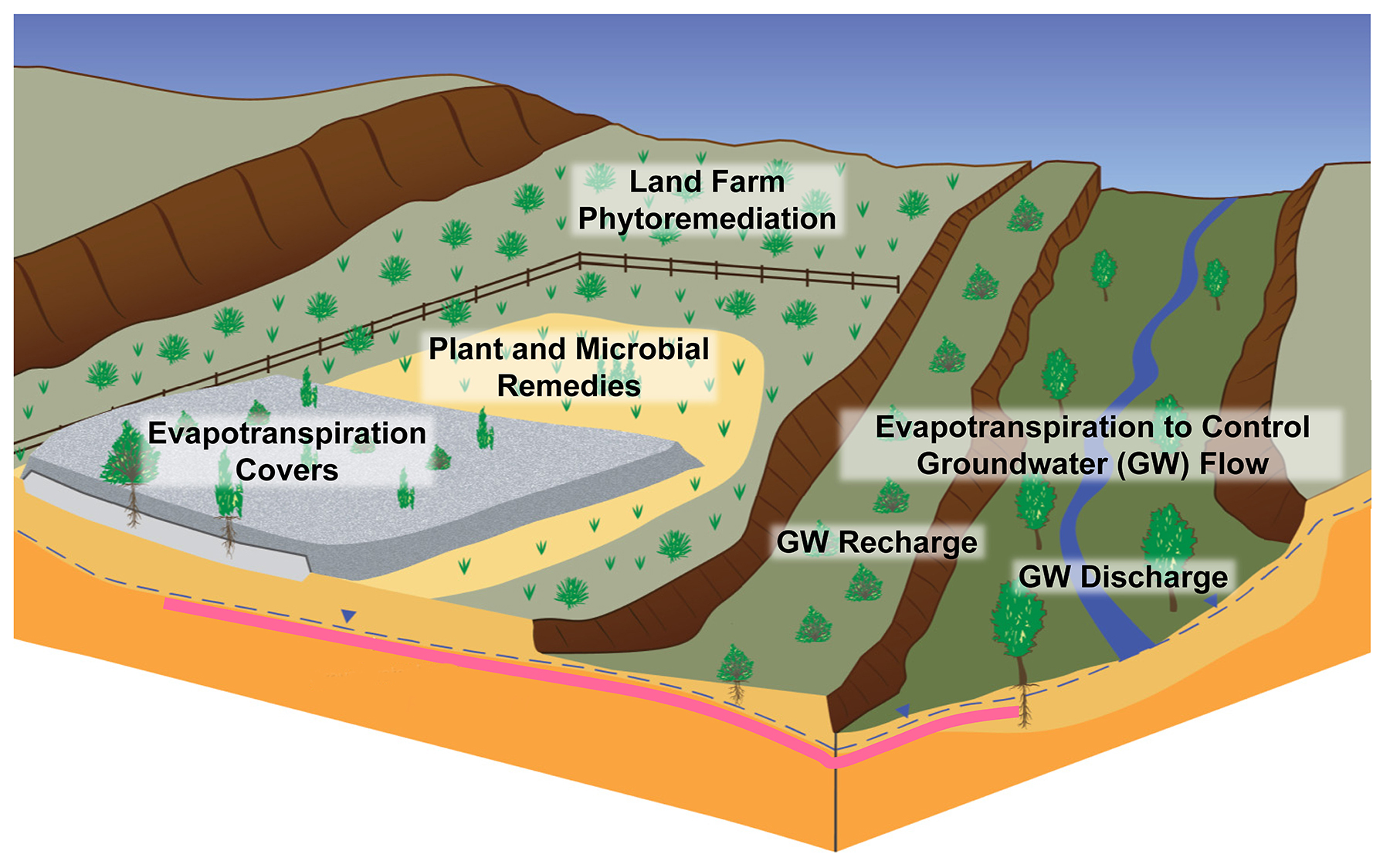 Ecological Engineering Remedies Presentation Given at International